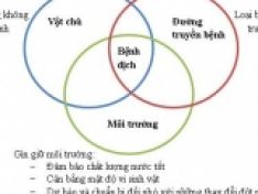CÔNG DỤNG CỦA MEN VI SINH TRONG NUÔI TRỒNG THỦY SẢN