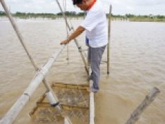 Để có vụ tôm thắng lợi