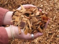 HỆ THỐNG KHỬ NITRAT MỚI TRONG NUÔI TRỒNG THỦY SẢN TUẦN HOÀN