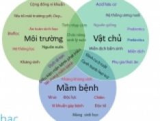 KINH NGHIỆM PHÒNG EMS VÀ WSSV TRÊN TÔM