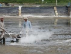 QUẢN LÝ BÙN ĐÁY AO TÔM
