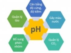 QUẢN LÝ PH CAO TRONG AO NUÔI TRỒNG THỦY SẢN