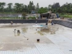 Thao tác chuẩn bị ao nuôi cho vụ mới đối với những ao đã nhiễm EHP