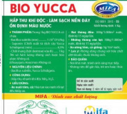 BIO YUCCA