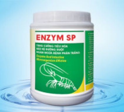 ENZYM SP