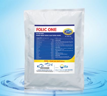 FOLIC ONE