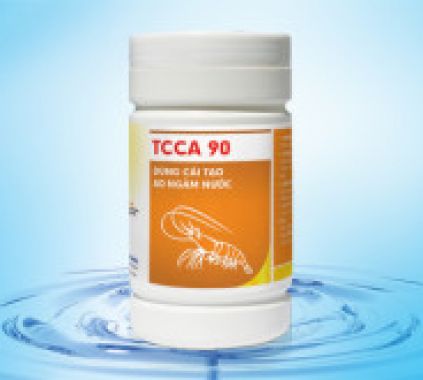 TCCA 90