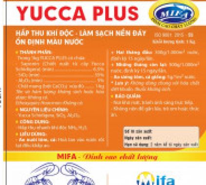 YUCCA PLUS